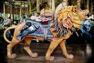 Herschell-Spillman Lion Outside Row Stander