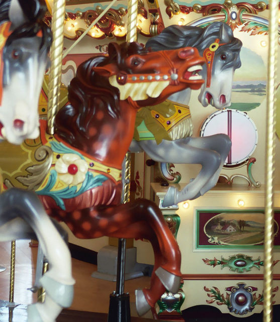 Click to display the next picture