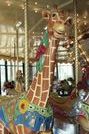 Herschell-Spillman Giraffe Outside Row Stander
