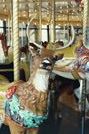 Herschell-Spillman Deer Outside Row Stander Head Close-up
