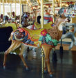 Herschell-Spillman Deer Outside Row Stander