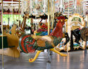 Outside Row Jumping Rooster