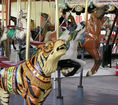 Tiger Row