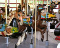 Armored Horse Row