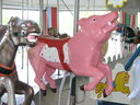 Herschell-Spillman Pig
