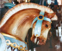 Carousel Park