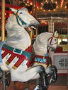 Stein & Goldstein Horses