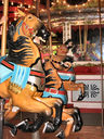 Stein & Goldstein Horses