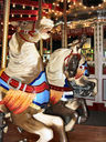 Stein & Goldstein Horses