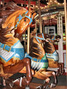 Stein & Goldstein Horses