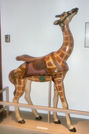 Looff Giraffe on Display