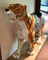 Dentzel Tiger on Display