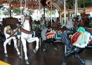 Outside Row Stander - Front View of Cavalry Horse