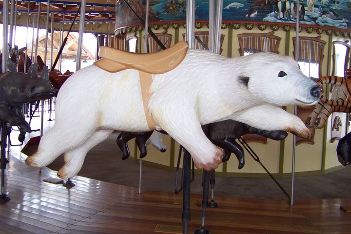 Click to display the next picture