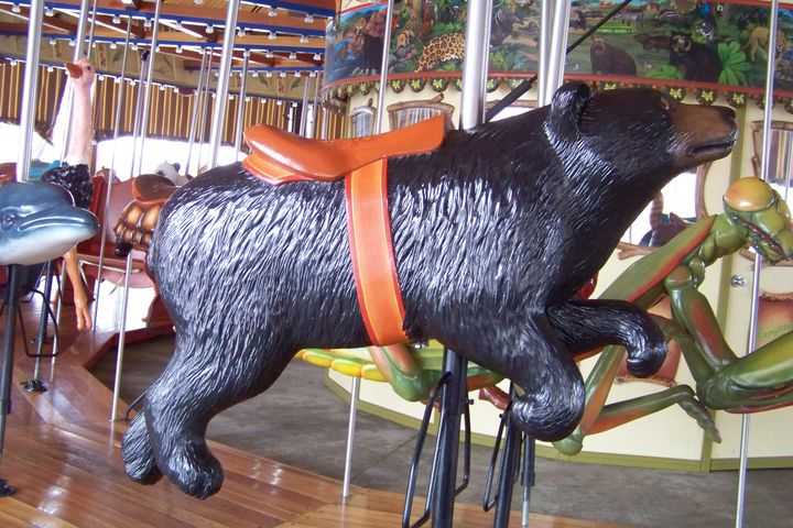 Click to display the next picture