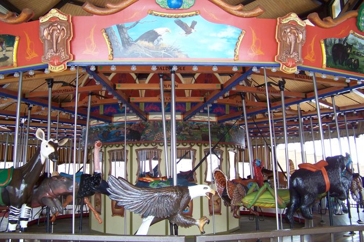 Click to display the next picture