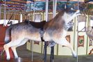 Carousel Works Wolf