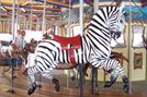 Carousel Works Zebra