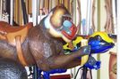 Carousel Works Mandrill and Poison Arrow Frog