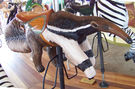Carousel Works Anteater
