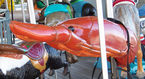 Carousel Works Crawfish (Which Faces Backwards)