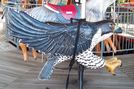 Carousel Works Peregrine Falcon