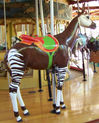 Okapi