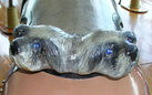 Parker Dog Cantle Carving