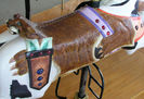 Parker Pelt Detail