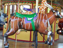 Carousel Works Bongo