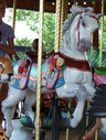 Carousel Works Horse