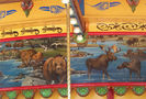Inside Scenery Panel