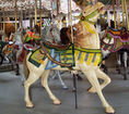 Knoebels