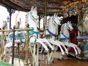 Jules Moulinas Horses