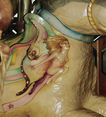 Rabbit Jumper Detail