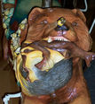 Bear Jumper Head Detail