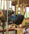 Carousel Works Babirusa and Ostrich