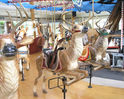 Dentzel Prancing Deer