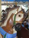 Dentzel Outside Row Prancer Head Detail