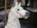Dentzel Prancer Head Detail
