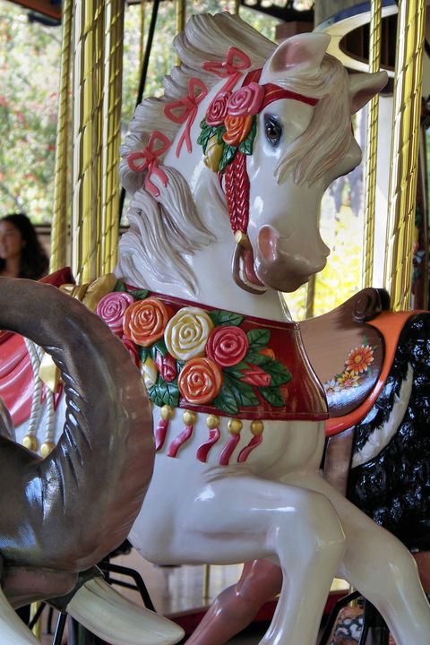 Click to display the next picture