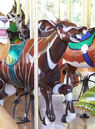 Carousel Works Bongo