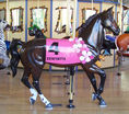 Carousel Works Outside Row Stander