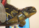 Carousel Works Radiated Tortoise