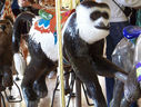 Carousel Works Colobus Monkey