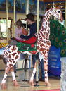 Carousel Works Giraffe