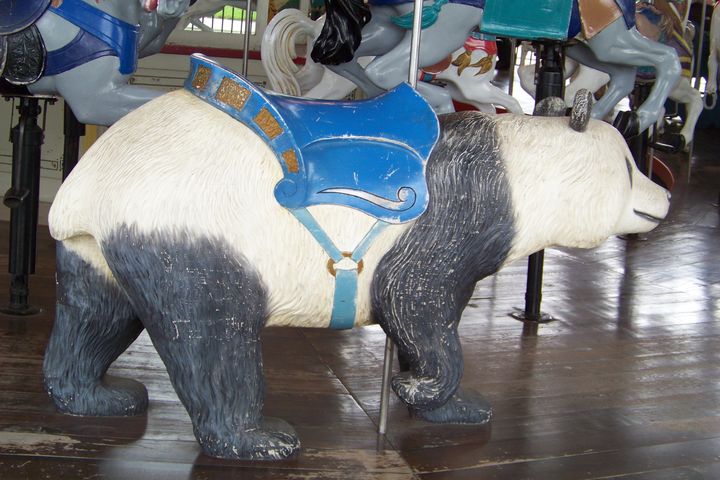 Click to display the next picture