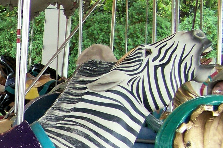 Click to display the next picture