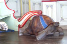 Handicapped Accessible Chariot Wood Tortoise