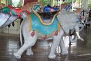 Wood Elephant